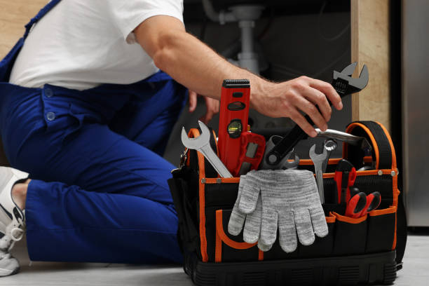 Best Plumbing Inspection Services  in Gibson City, IL